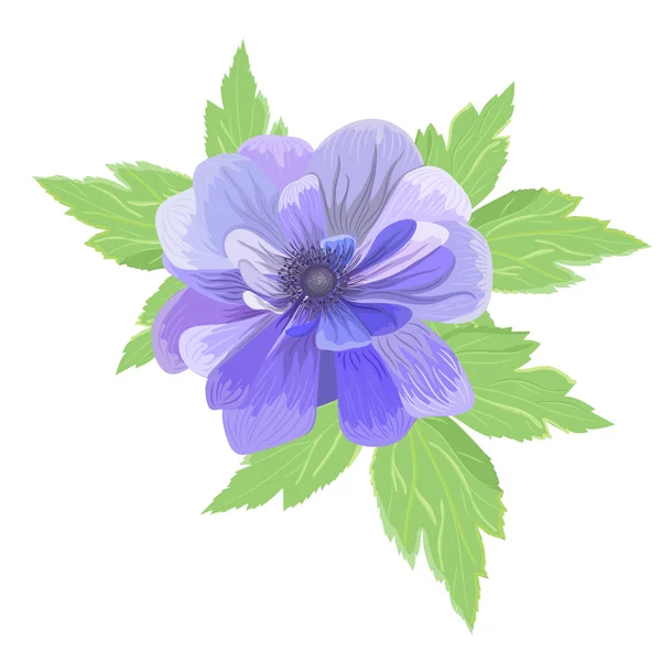 Illustration mit schöner blauer Anemone — Stockvektor