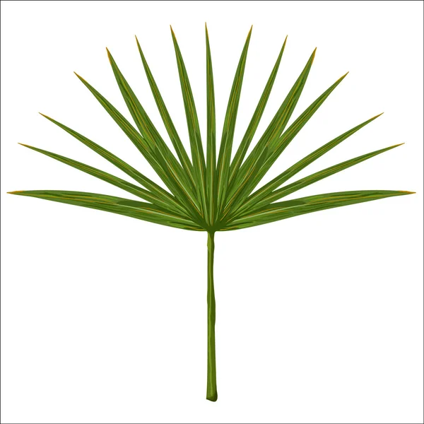 Illustration avec feuille de palmier verte — Image vectorielle