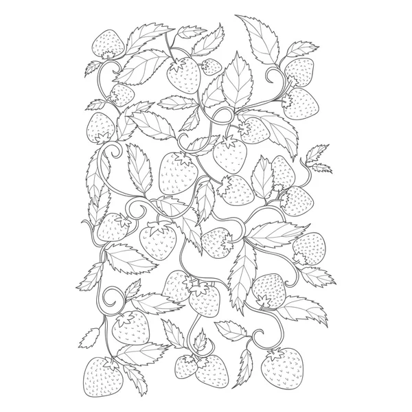 Flores florecientes hortensia — Vector de stock