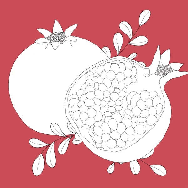 Ілюстрація з гранатовими фруктами — стоковий вектор