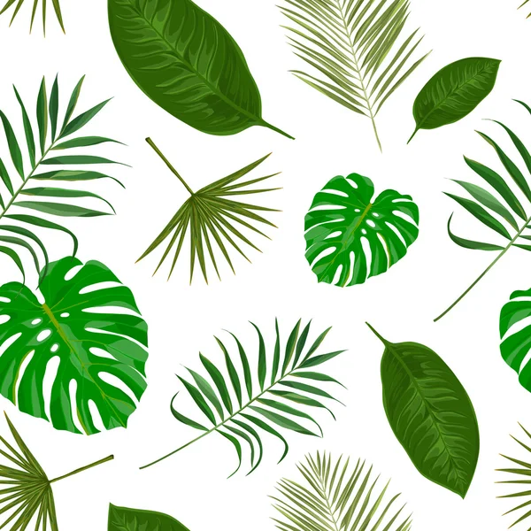 与热带异国树叶图案 — 图库矢量图片