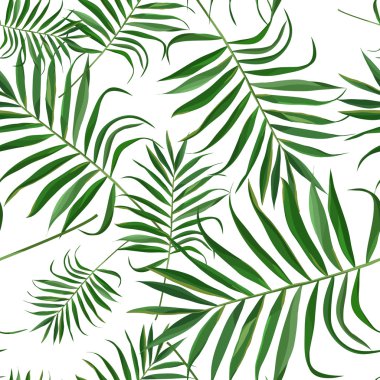 desen tropikal egzotik yaprakları ile