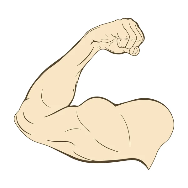 Braccio maschile con muscoli — Vettoriale Stock
