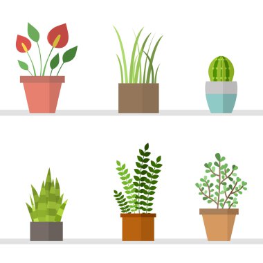  düz çiçeklerle tencerelerde ayarla