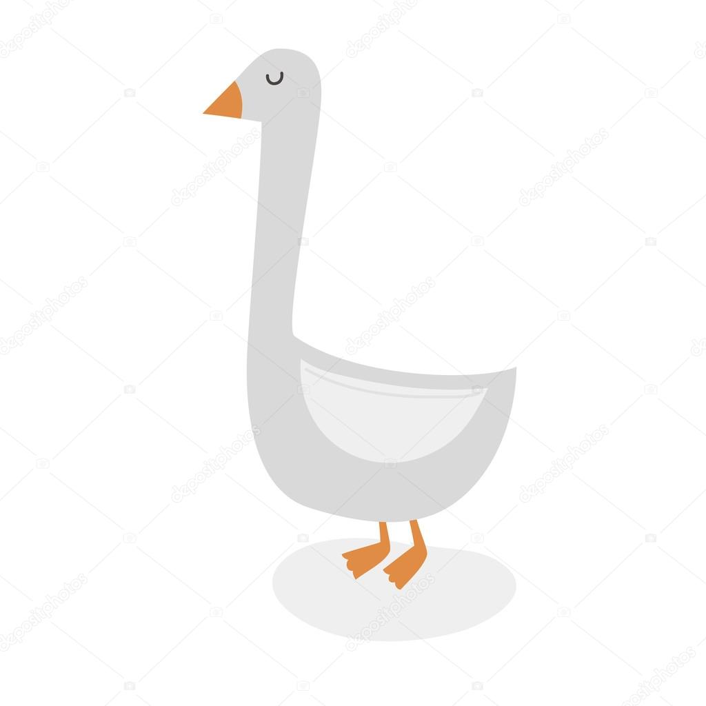 illustration with white goose
