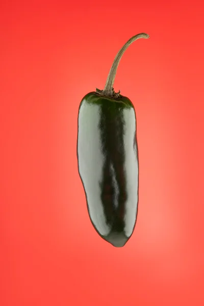 Isolated green eggplant with shiny sides shot closeup — Stock Photo, Image