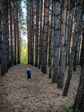 Küçük çocuk ormanda yalnız..
