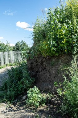 Kırsal alanda yerel çalılıklar var. Uçurum.