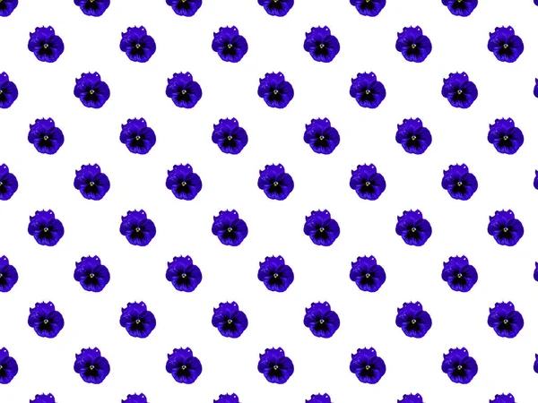 Seamless Pattern Pattern Pansies Repeating Pattern Decorative Wallpaper Floral Pattern — Stock Photo, Image