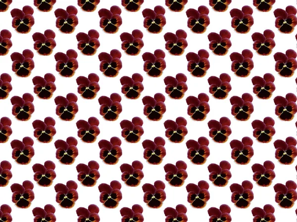 Seamless Pattern Pattern Pansies Repeating Pattern Decorative Wallpaper Floral Pattern — Stock Photo, Image