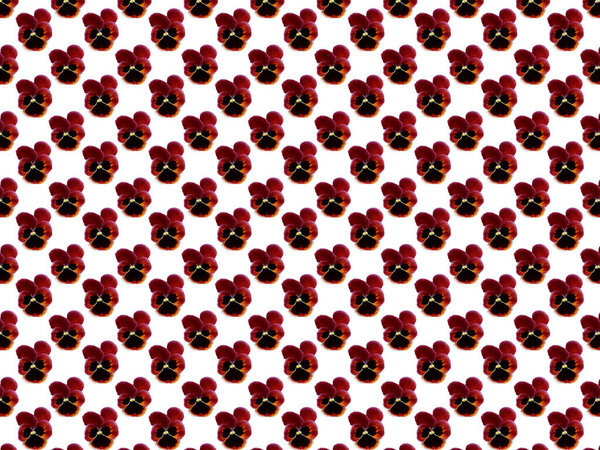 Seamless pattern with a pattern of pansies. Repeating pattern for decorative Wallpaper. Floral pattern on a white background when viewed from above. Wild pansies.