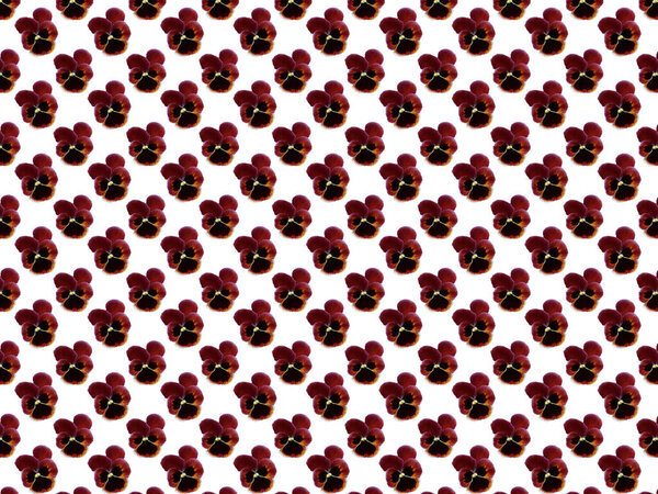 Seamless pattern with a pattern of pansies. Repeating pattern for decorative Wallpaper. Floral pattern on a white background when viewed from above. Wild pansies.