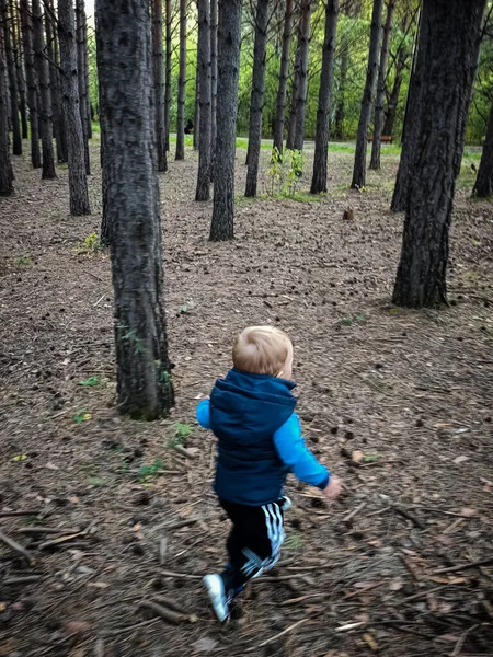 Küçük bir çocuk ormanda tek başına yürüyor..