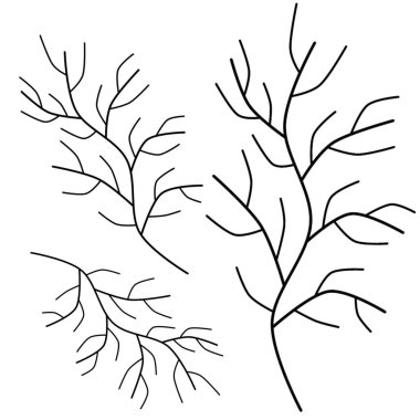 Beyaz arka planda el yazısıyla yazılmış basit dallar. Basit karalama dalları seti