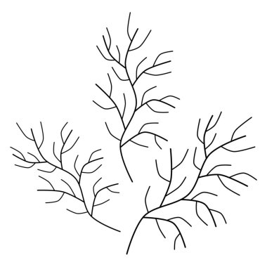 Beyaz arka planda el yazısıyla yazılmış basit dallar. Basit karalama dalları seti