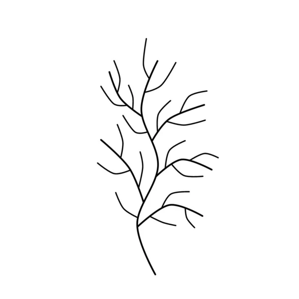 白色背景上的一组简单的小树枝 一套简单的涂鸦树枝 — 图库照片