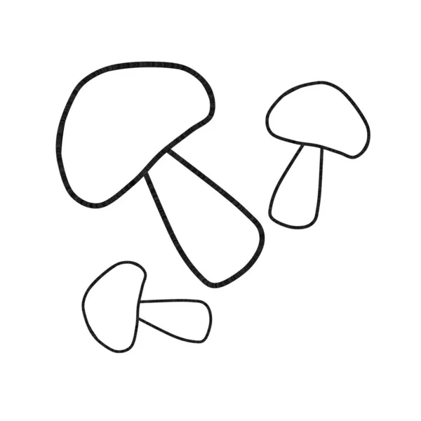 蘑菇的简单形象 蘑菇的卷曲 儿童彩页用的简单蘑菇 — 图库矢量图片