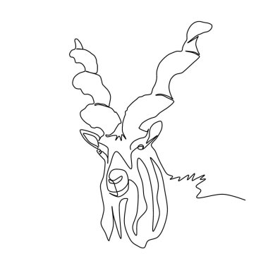 Capra Falconeri 'nin çizimi. İllüstrasyon - Bir satır. Marhor nadir görülen vahşi bir hayvandır. Buhara markhor. Capra Falconeri heptneri, veya Türkmen markhor