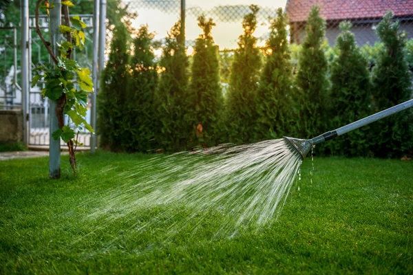 Watering lawn in garden — Stock Photo, Image