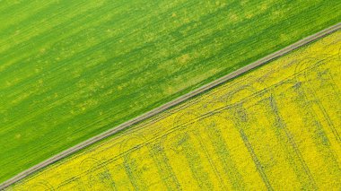 Yaz tarlalarının havadan görünüşü. Yukarıdan sarı alanlar. Fotoğraf İHA ile çekildi.