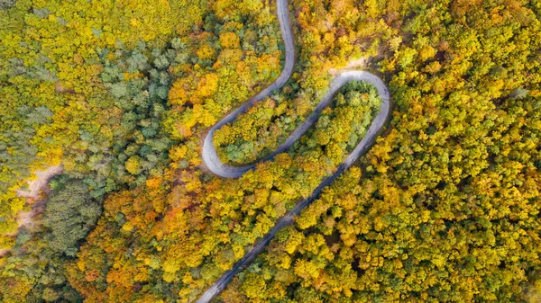 Vista Aérea Estrada Floresta Outono Bonito Por Sol — Fotografia de Stock