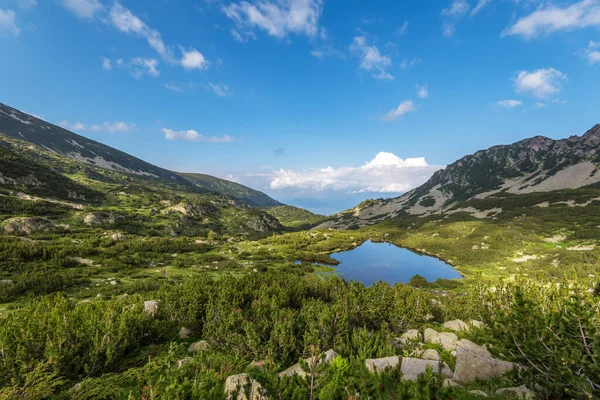 Летний Пейзаж Гора Пирин Болгария — стоковое фото