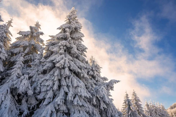 Matin Hiver Coloré Dans Les Montagnes Lever Soleil Février — Photo