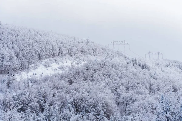 Pilones Electricidad Las Montañas Invierno Bulgaria —  Fotos de Stock