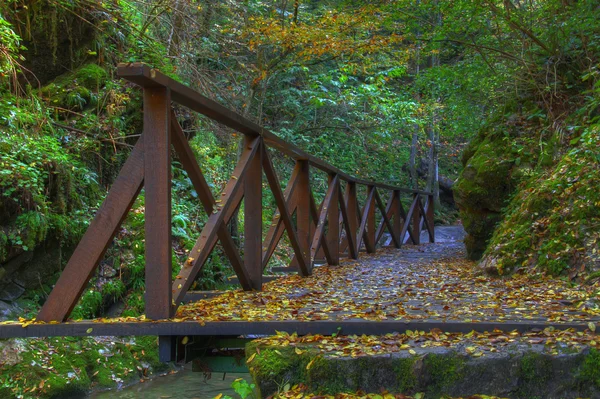 Bridge in autumn — Stock Photo, Image
