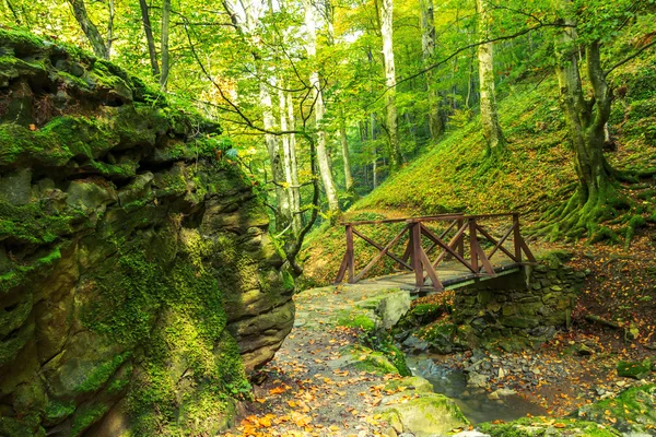 Bridge in autumn — Stock Photo, Image