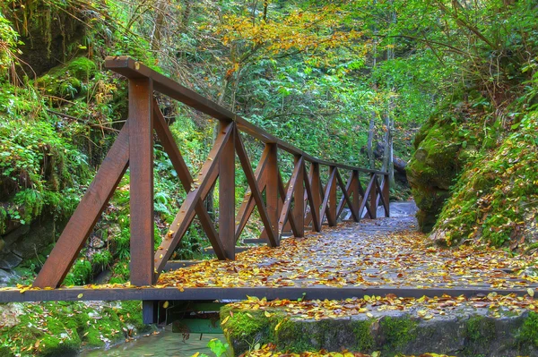 Bridge in autumn — Stock Photo, Image