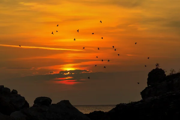 Восход солнца в море — стоковое фото