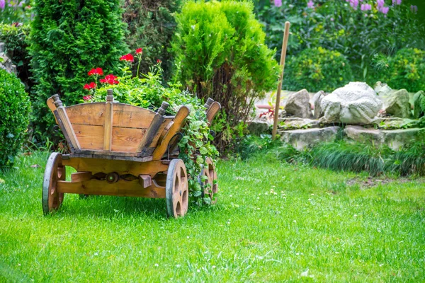 Güzel çiçek sepeti