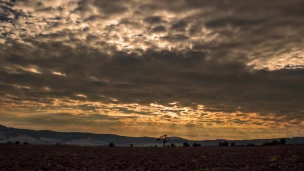 Champ agricole en montagne au coucher du soleil — Video