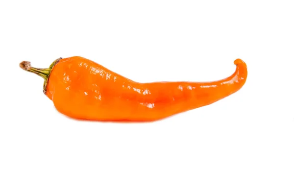 Πορτοκαλί καυτό πιπέρι τσίλι — Φωτογραφία Αρχείου