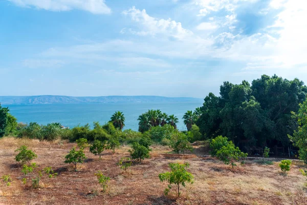 ガリラヤ湖、 Kinneret湖、ティベリヤの海のパノラマビュー。ガリラヤの山々からの眺め。イスラエル — ストック写真
