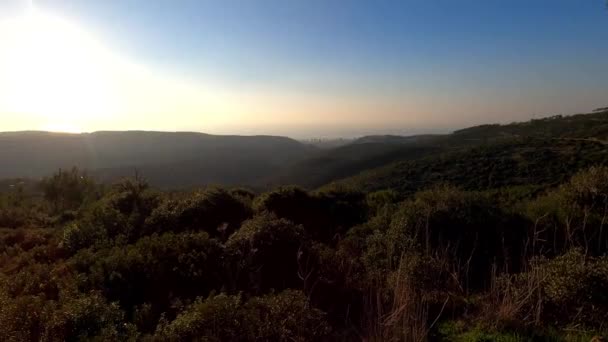 4k tilt down vertical Pano video. View of forest, sea, and city under a blue sky. A view of Mount Carmel — Vídeos de Stock