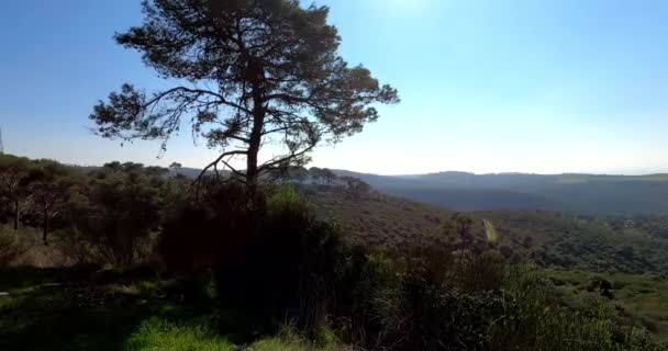 4k tilt right horizontal Pano video. View of forest, sea, and city under a blue sky. A view of Mount Carmel — Stockvideo