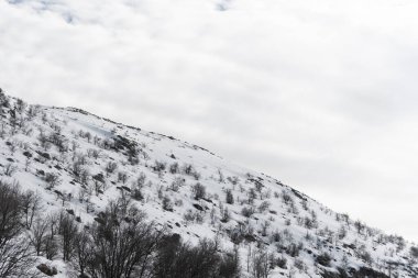 Sığ karla kaplı bir dağ. Kardan süzülen çalılar. Bulutlu mavi gökyüzü. Oduncu kulübesi. Ahşap kulübe