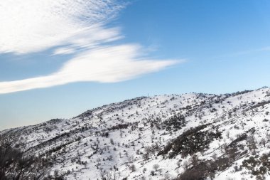 Sığ karla kaplı bir dağ. Kardan süzülen çalılar. Bulutlu mavi gökyüzü. Oduncu kulübesi. Ahşap kulübe