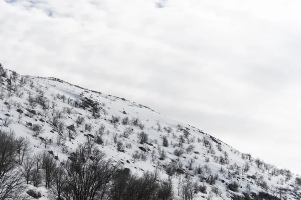 Sığ karla kaplı bir dağ. Kardan süzülen çalılar. Bulutlu mavi gökyüzü. Oduncu kulübesi. Ahşap kulübe