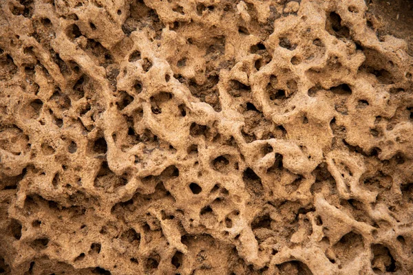 The texture of the yellow porous stone wall — Stock Photo, Image