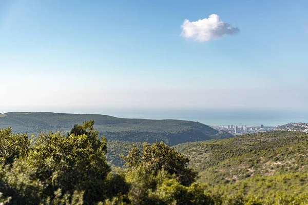 Mavi gökyüzünün altındaki orman, deniz ve şehir manzarası. Carmel Dağı manzarası — Stok fotoğraf
