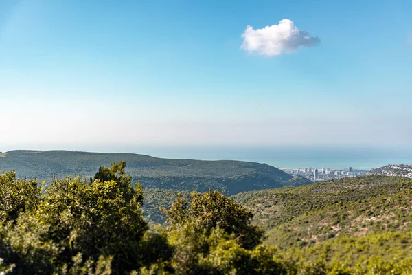 Mavi gökyüzünün altındaki orman, deniz ve şehir manzarası. Carmel Dağı manzarası