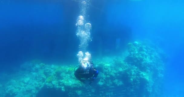 Un buceador desciende por el arrecife de coral en el Mar Rojo, Eilat, Israel — Vídeos de Stock