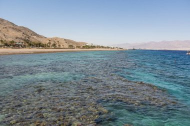 Suyun üzerindeki mercan resifinin manzarası. Kızıl Deniz. Eilat şehrindeki sahil, İsrail Yüksek Meleği