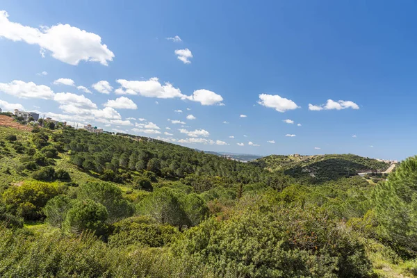 雲と青空の劇的な裏側に緑の森の山の範囲のビュー。旅行のコンセプトハイキング。山、地形の鞍、北地区イスラエルの間の鞍 — ストック写真