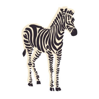 Zebra hayvan çizimi grafik kaynağı 