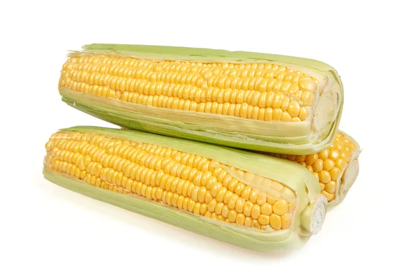 Maize ears — Stock Photo, Image