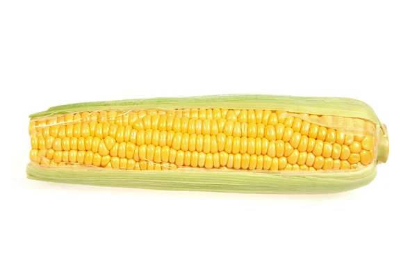 Érett kukorica fül — Stock Fotó